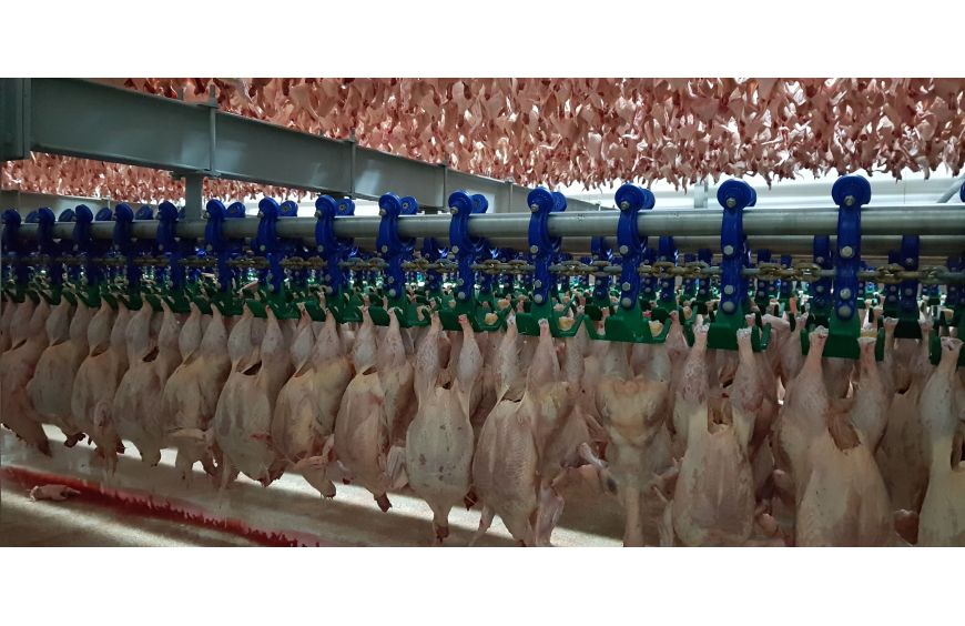 Dezynfekcja ozonem w przemyśle mięsnym